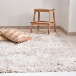 Plush Area Rug